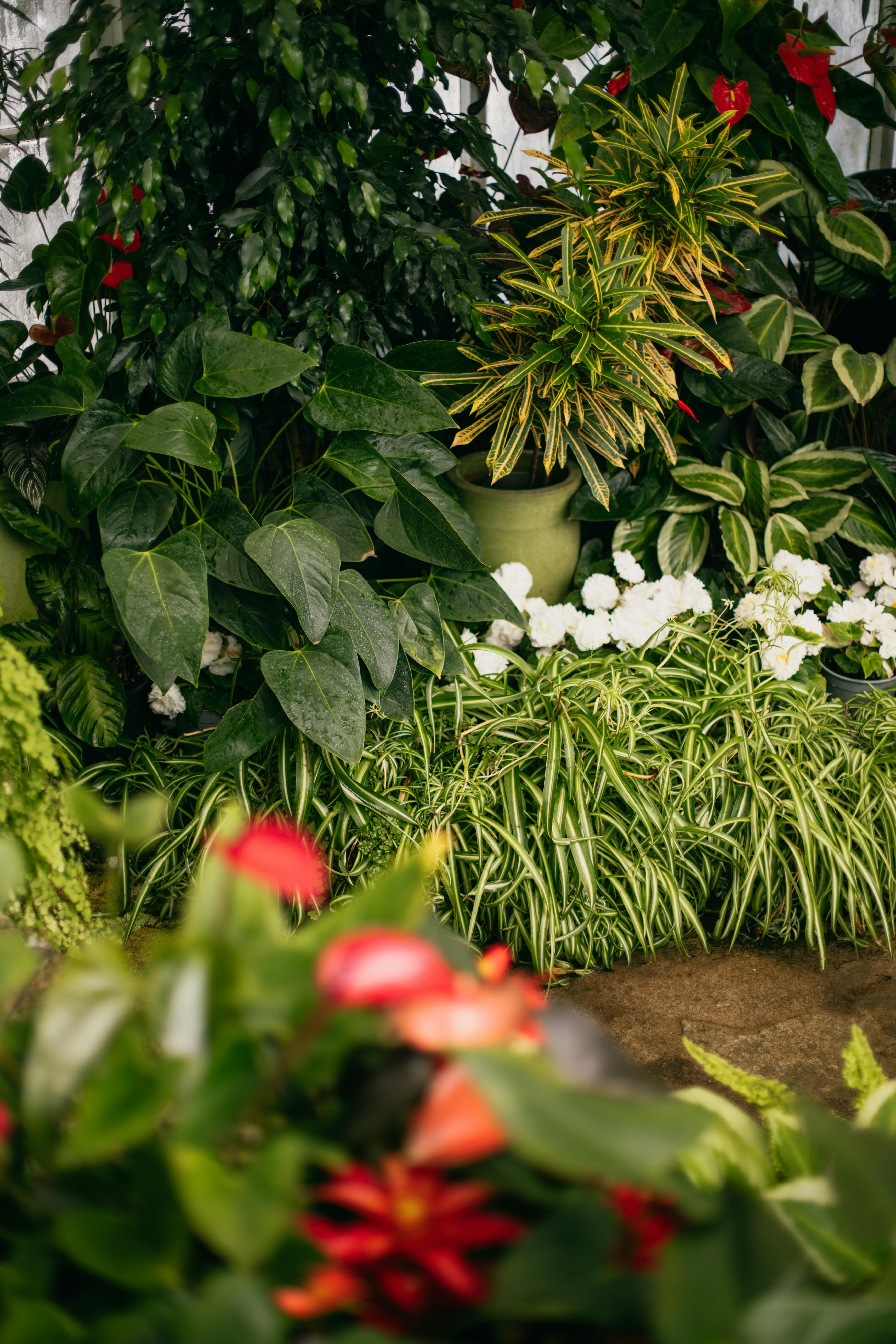 Landscaping Services in Johannesburg